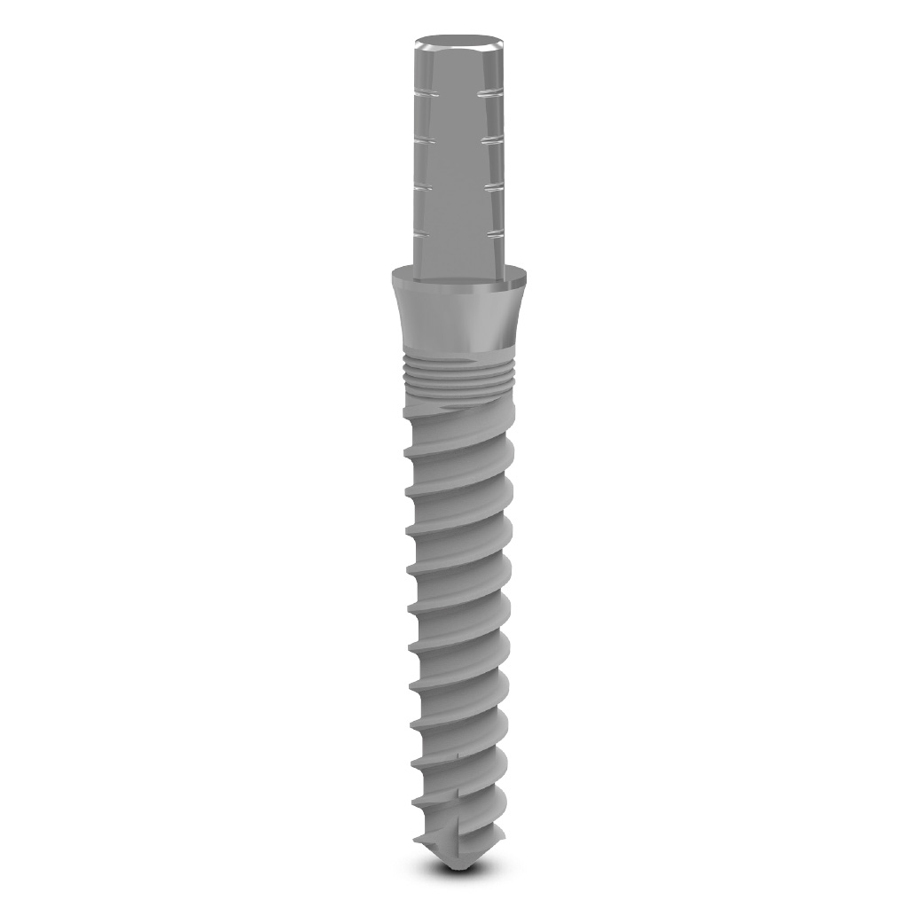 Dental implant ZMR 