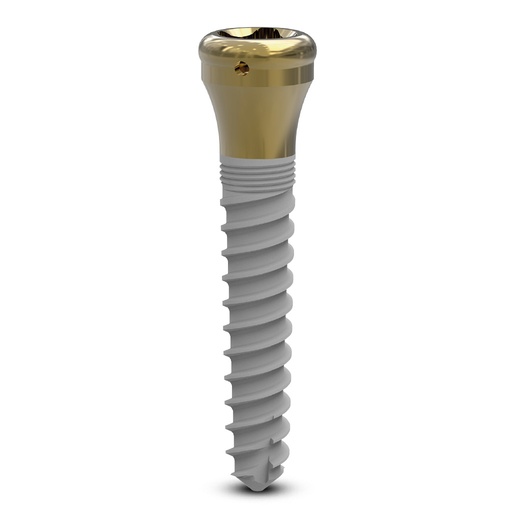 Dental implant ZMK