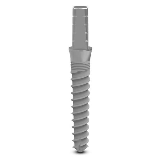 Dental implant ZMR 