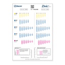 Plantilla radiográfica Zinic®MT 