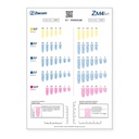 Plantilla radiográfica ZM4MT 