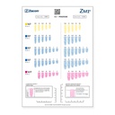 Plantilla radiográfica ZM1 